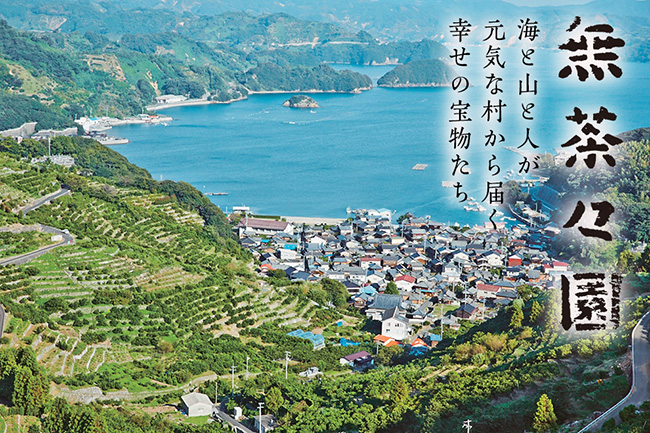 無茶々園,愛媛県