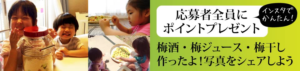 応募者全員にポイントプレゼント
