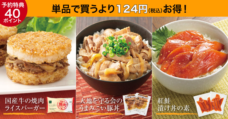 お手軽ごはんランチセット