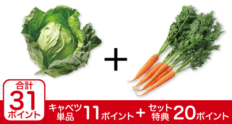 三浦のふんわり春キャベツ・1コ&葉付人参・200g