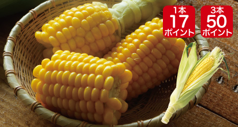 とうもろこし