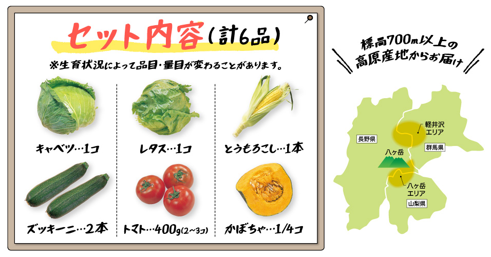 八ヶ岳・軽井沢から 夏の高原野菜セット