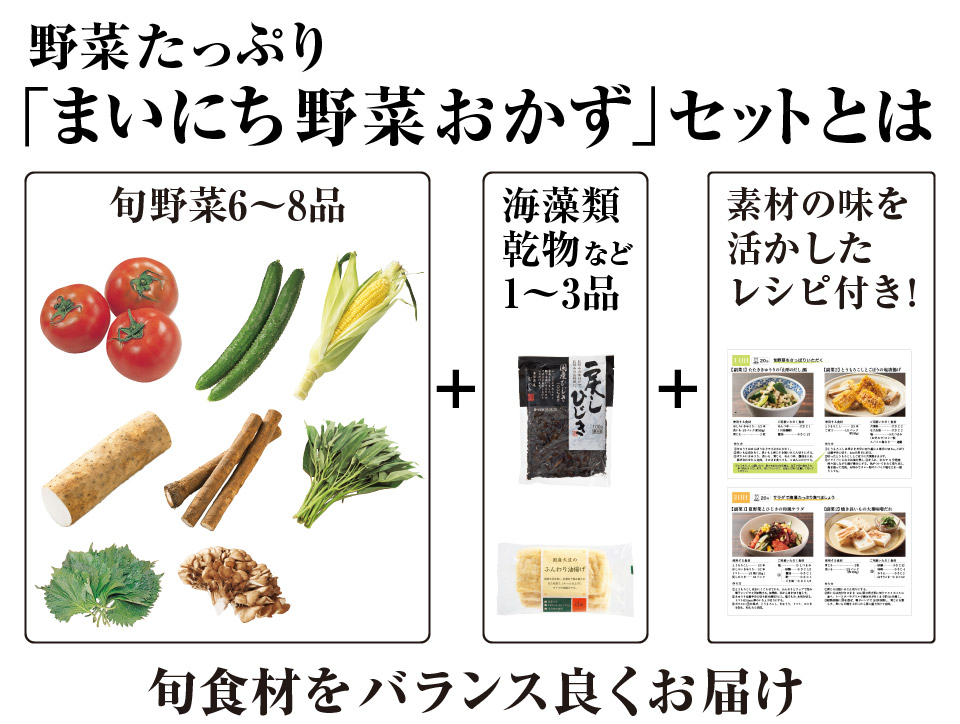 まいにち野菜おかずセットとは?その1