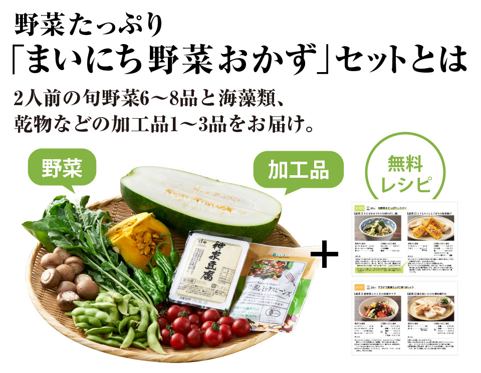 まいにち野菜おかずセットとは?その1