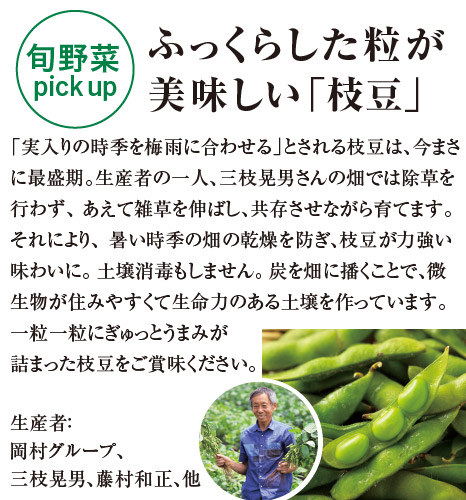 生産者ピックアップ