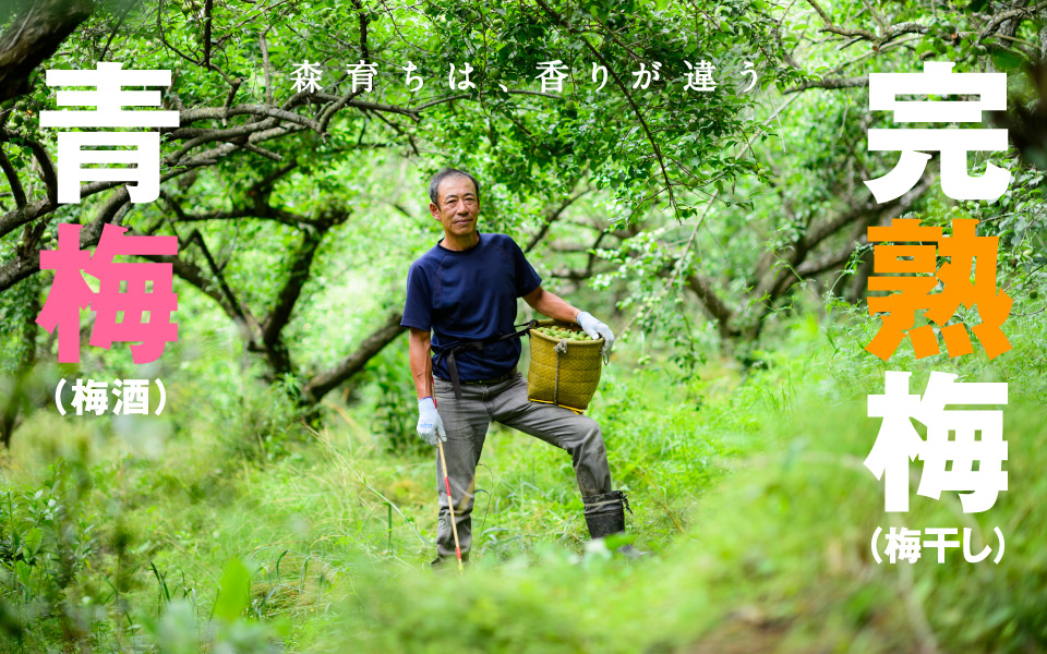 森育ちは香りが違う