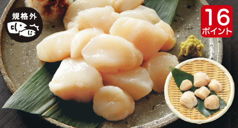もったいナイ魚・オホーツク産帆立貝柱(刺身用)