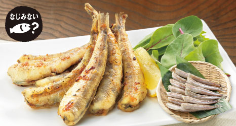 もったいナイ魚・にぎす丸干し(無頭)