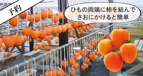 予約 干柿用・甲州百目柿