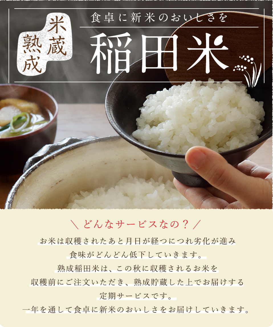 食卓に新米のおいしさを 米蔵熟成 稲田米