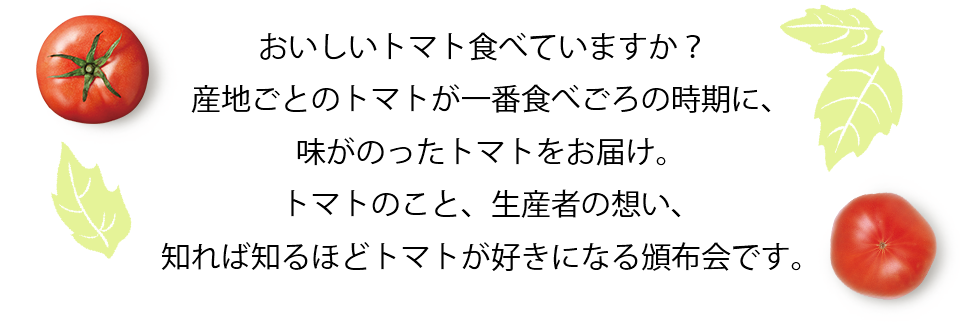 頒布会 生産者自慢の食べ頃トマト 有機野菜や自然食品の購入は大地を守る会のお買い物サイト