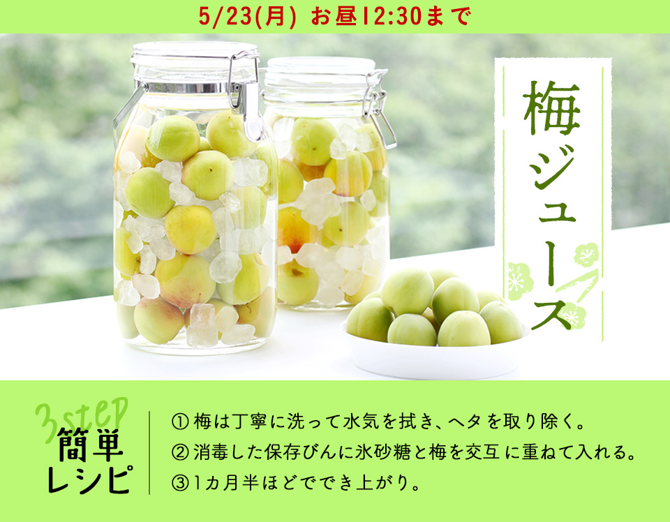 梅ジュース