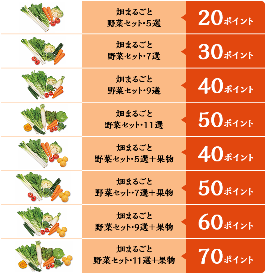 「畑まるごと野菜セット」のポイント早見表