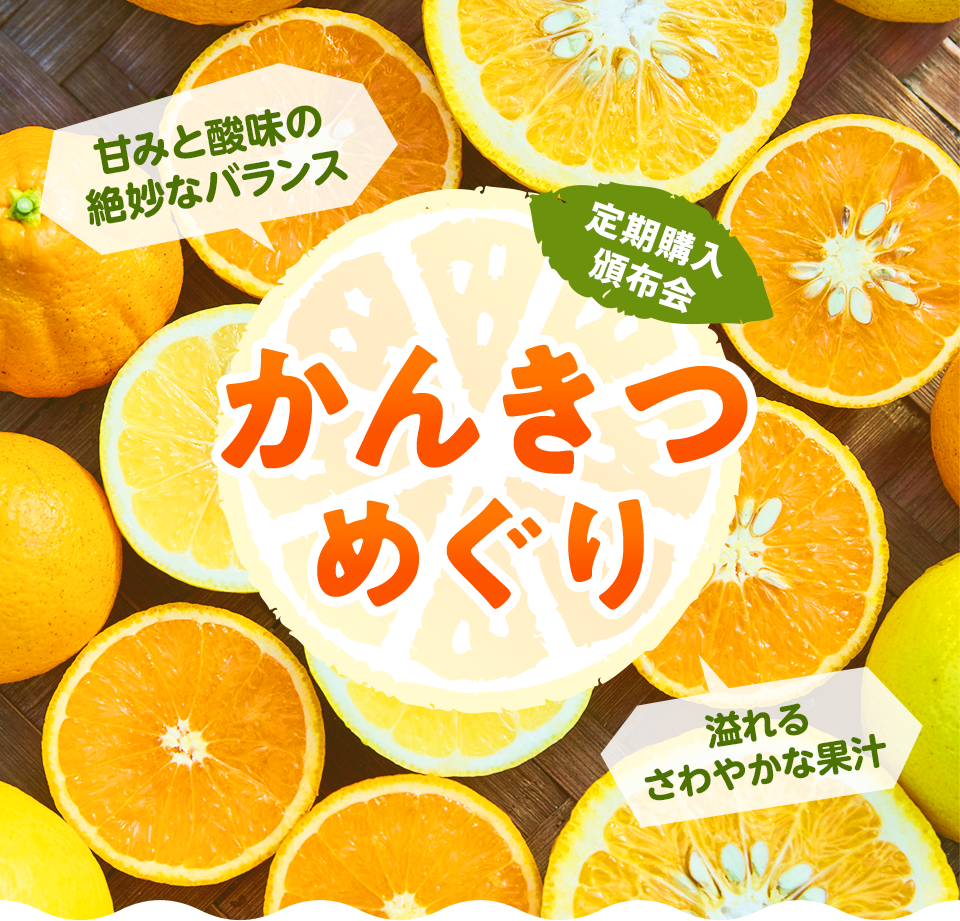 [定期購入・頒布会]産地限定・生産者限定 ニッポン 旬の果物めぐり 秋冬