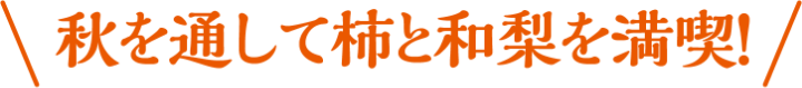 秋を通して柿と和梨を満喫！