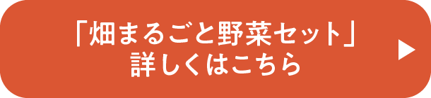 畑まるごと野菜セット」詳しくはこちら