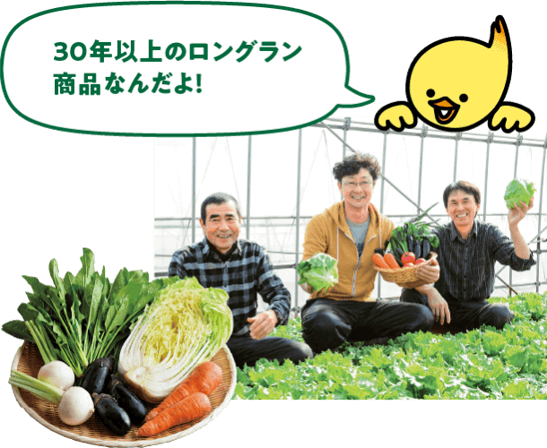 30年以上のロングラン商品なんだよ!