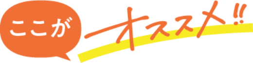 ここがおすすめ!!