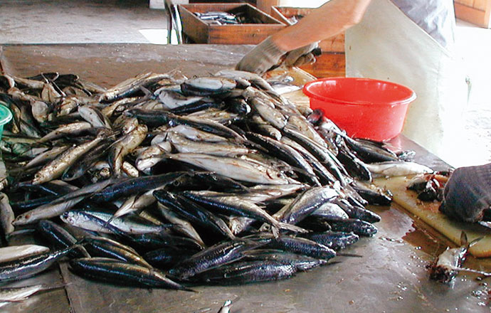 食品添加物に頼らない練り物づくり