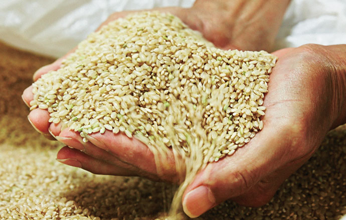 抗生物質・抗菌性物質を使わない飼料で育てる