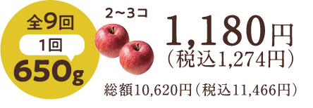 cv
