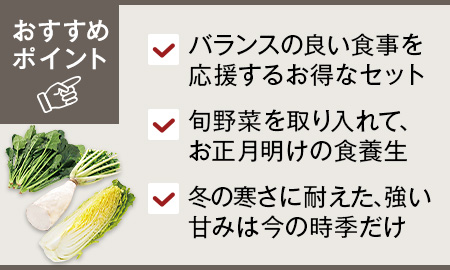 冬においしい旬の野菜セット（三浦大根1/2本、凝縮甘み白菜1/4コ、甘ほうれん草）