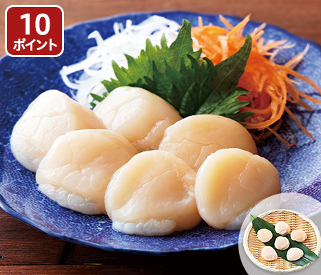 sakana_item_13809694