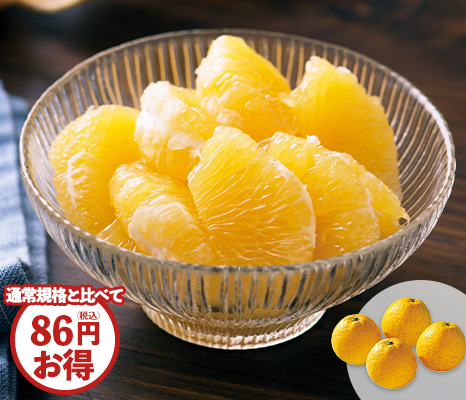 徳用・河内晩柑・1.5kg