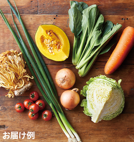 野菜セット(少量多品目)