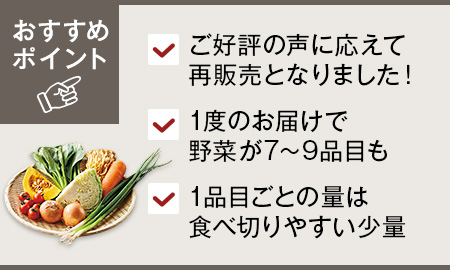 野菜セット(少量多品目)