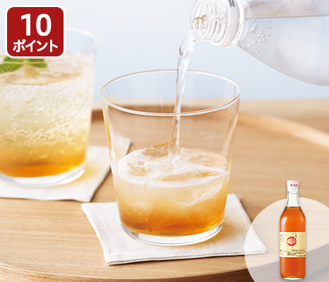 王隠堂のプラムハニー(梅シロップ)