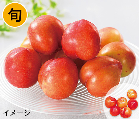 プラム(大石早生 他)