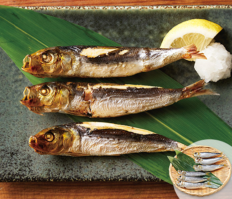 sakana_item_13901962