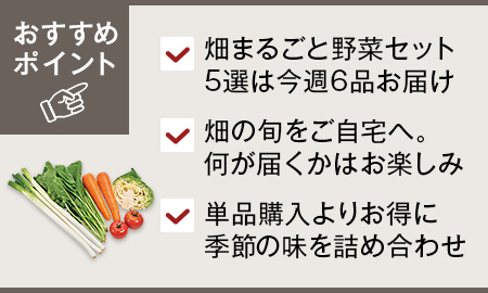 畑まるごと野菜セット・5選