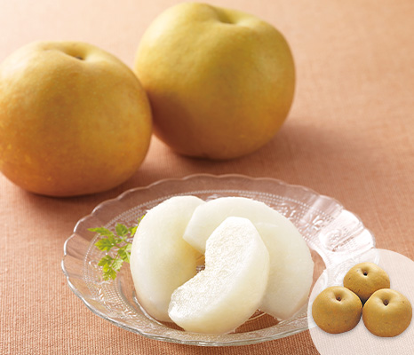 new-pick_item_02202547