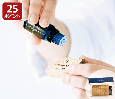 予約 エコブロック12コ&カンフルオイル10ML(防虫剤)