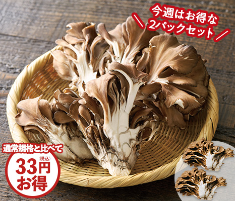 肉厚で香り楽しむ　轟まいたけ１００ｇ×２