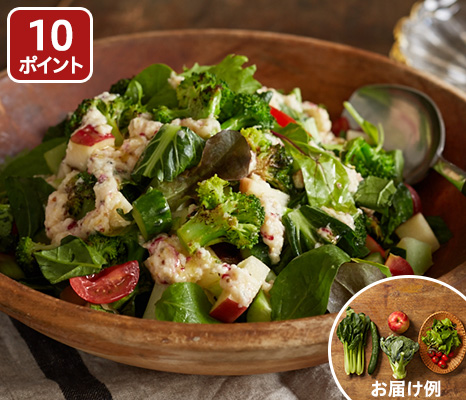 【ベジオタのひと皿】りんごと小松菜の11品目カラフルチョップドサラダ