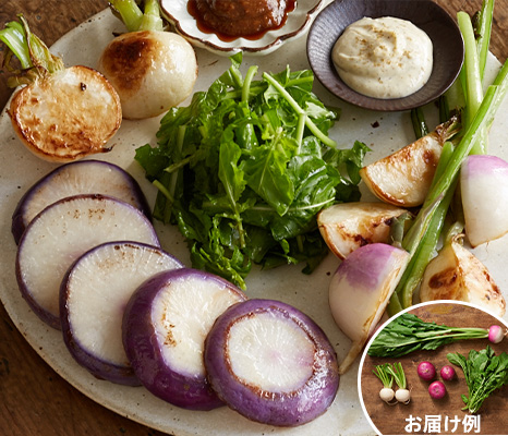 【ベジオタのひと皿】香ばし焼きかぶの3種食べ比べサラダ
