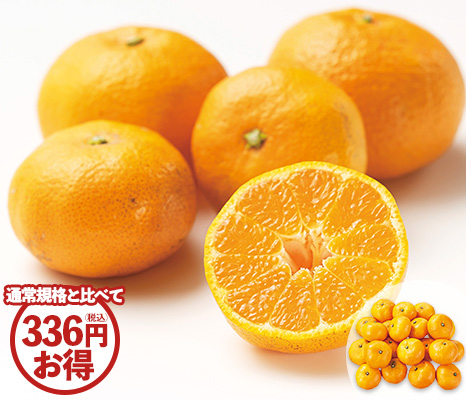 徳用温州みかん2kg