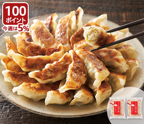 いつもの焼き餃子　ファミリーパック×2