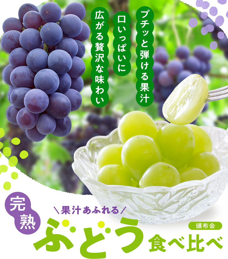 ぶどう頒布会 2025