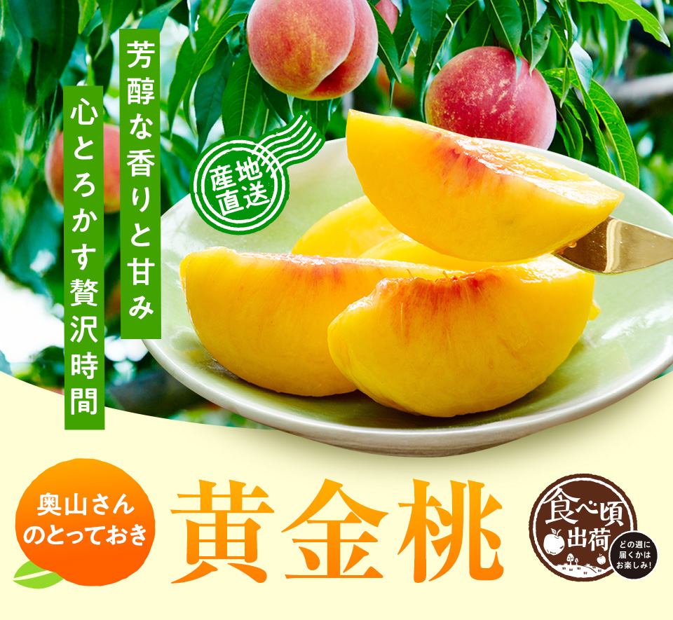 黄金桃頒布会 2025