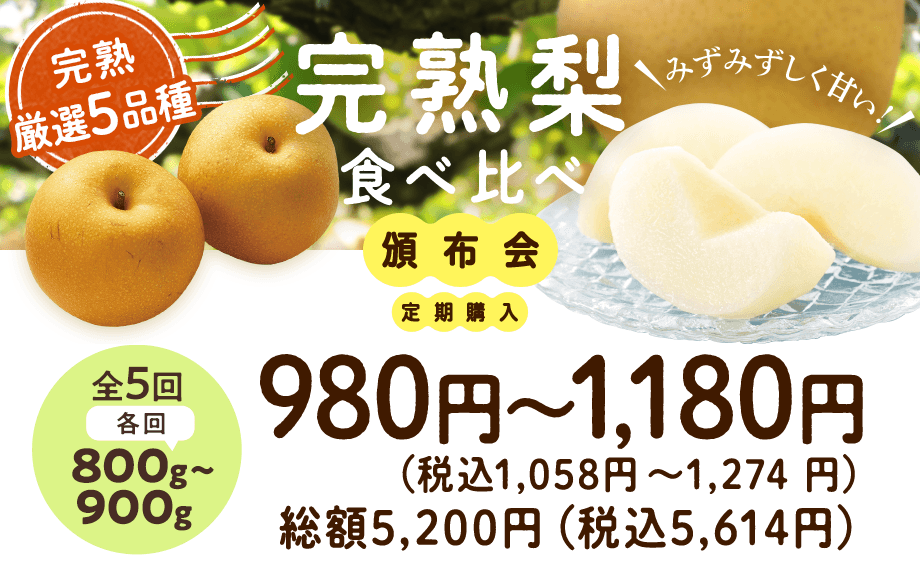 和梨頒布会 2025