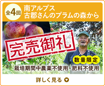 全4回 南アルプス古郡さんのプラムの森から