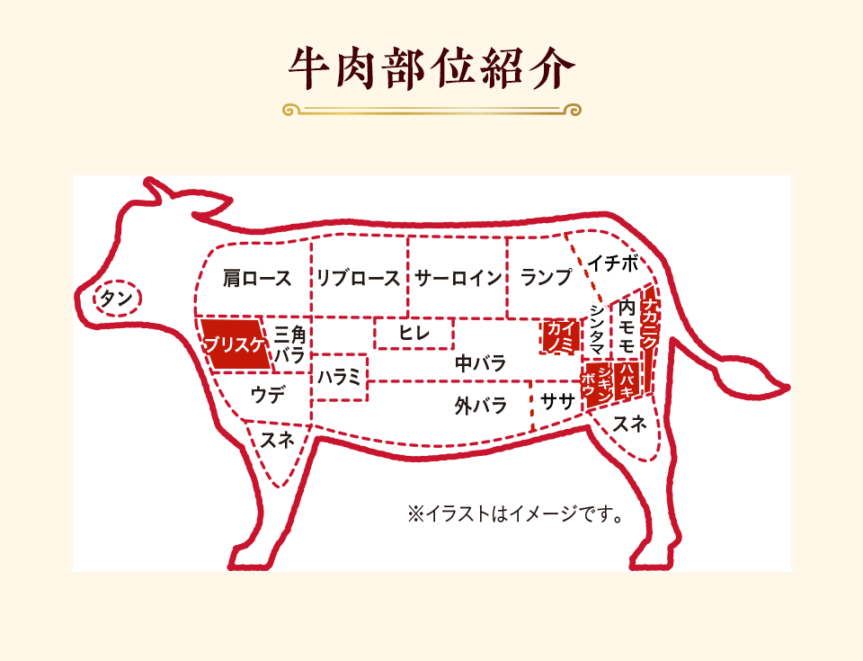 牛肉部位紹介