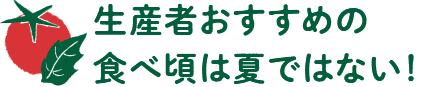 生産者おすすめの食べ頃は夏ではない！