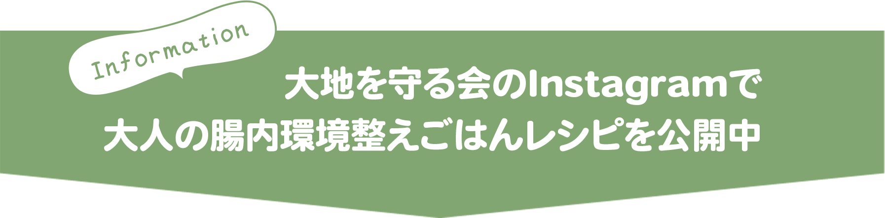 今週のオススメ3品