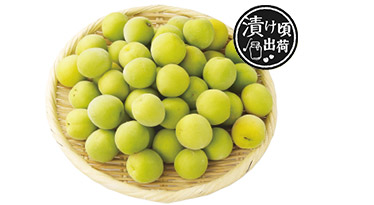 森そだち香り南高梅