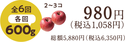 cv